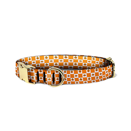 Pumpkin Checker Collar