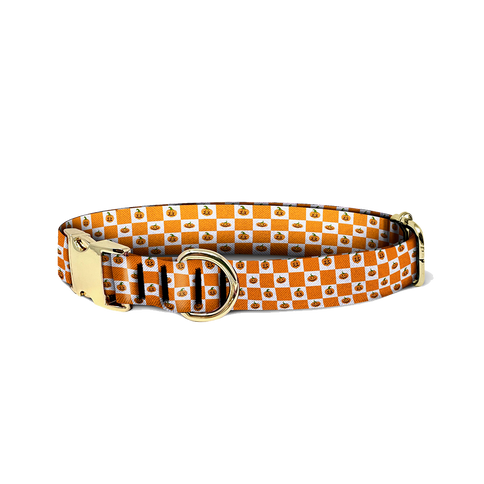 Pumpkin Checker Collar