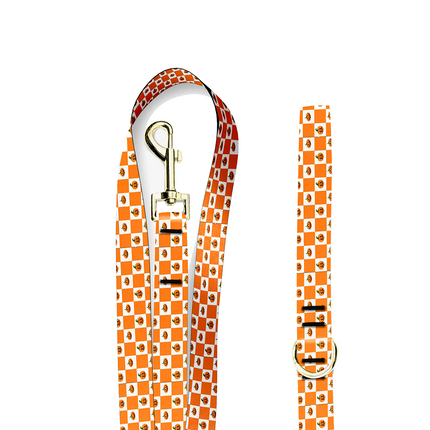 Pumpkin Checker Leash