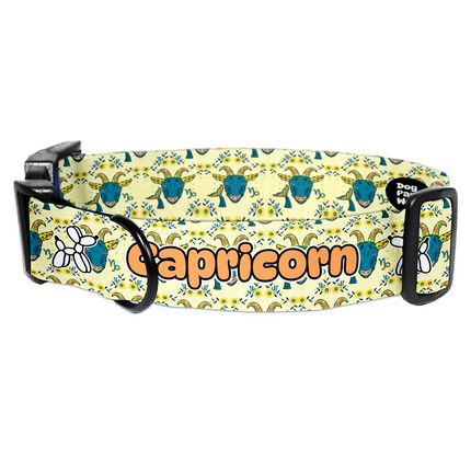 Zodiac Capricorn Collar
