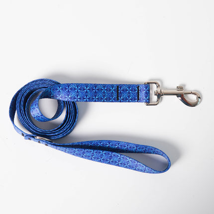 Blue Owl Leash