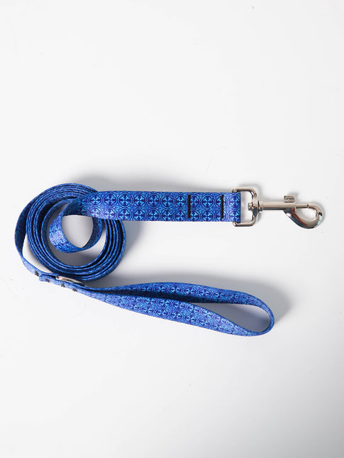 Blue Owl Leash