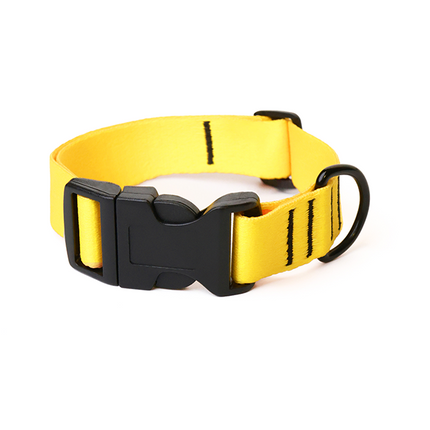 Lemon Glow Collar