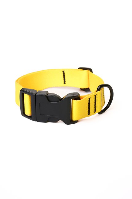 Lemon Glow Collar