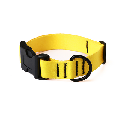 Lemon Glow Collar