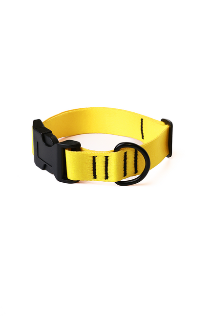 Lemon Glow Collar