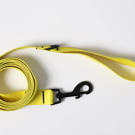 Lemon Glow Leash