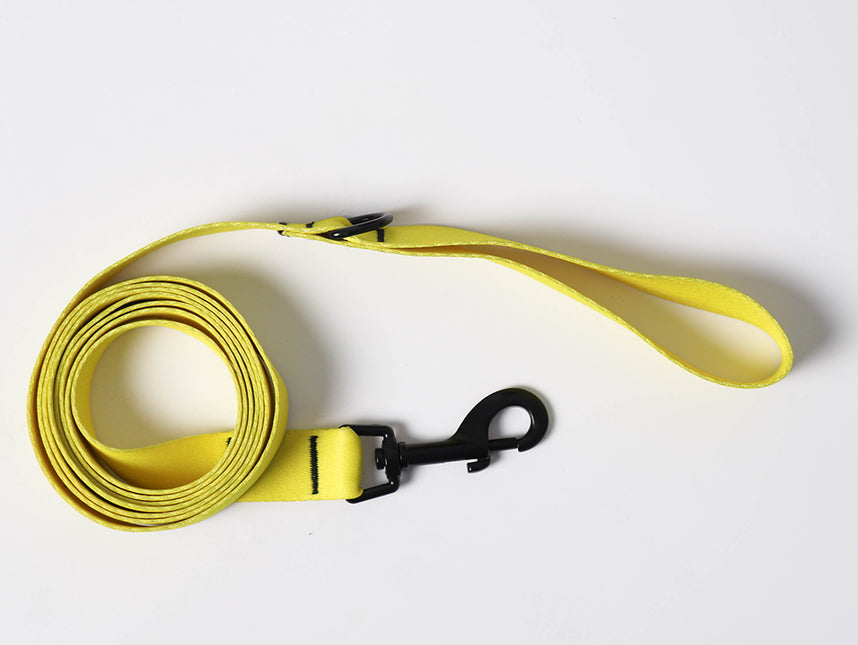 Lemon Glow Leash