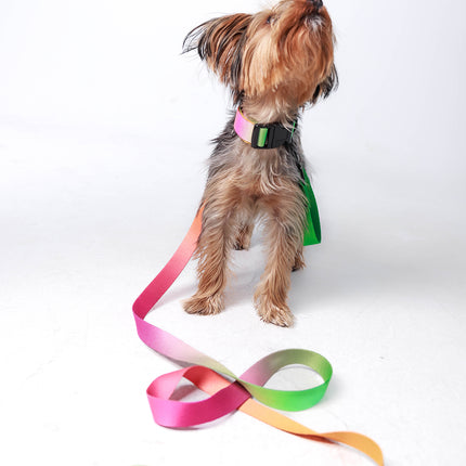 Lime Candy Leash