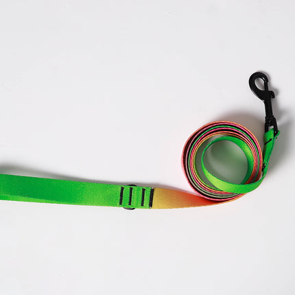 Lime Candy Leash