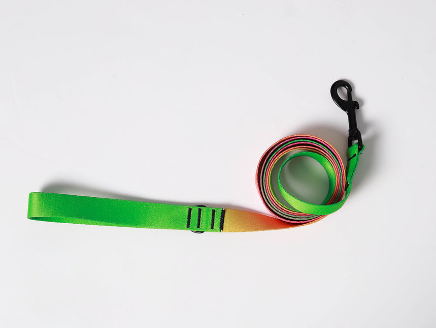 Lime Candy Leash