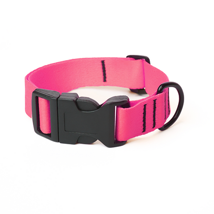 Pink Flash Collar