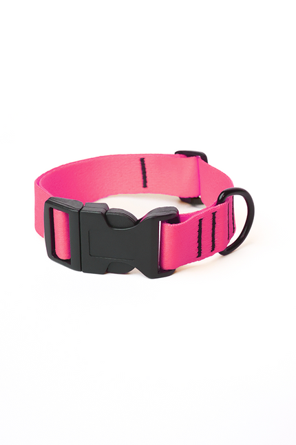 Pink Flash Collar