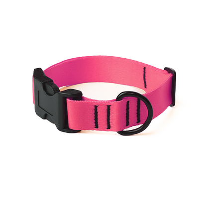 Pink Flash Collar