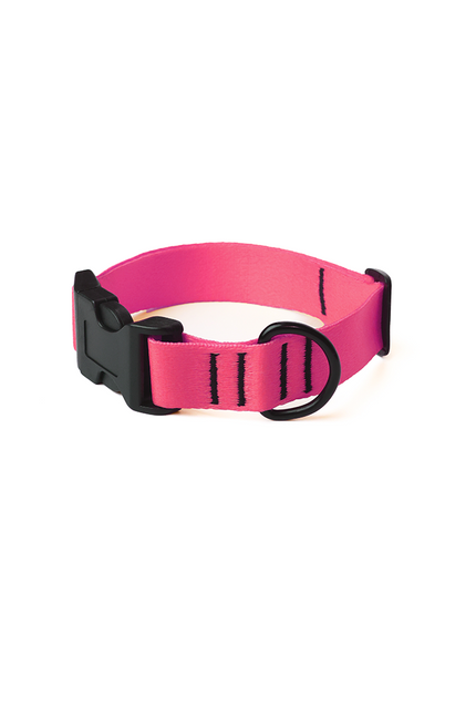 Pink Flash Collar