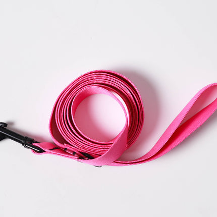 Pink Flash Leash