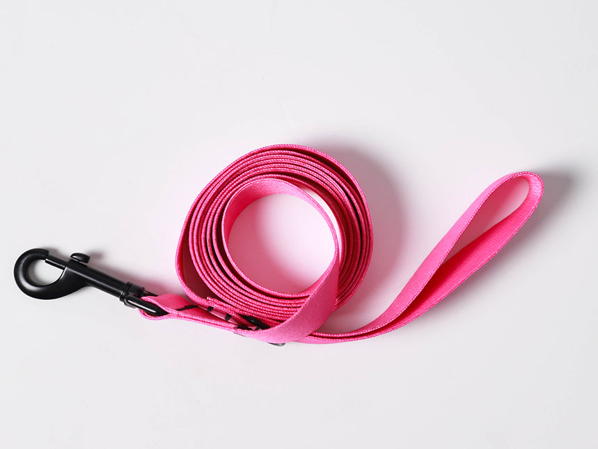 Pink Flash Leash