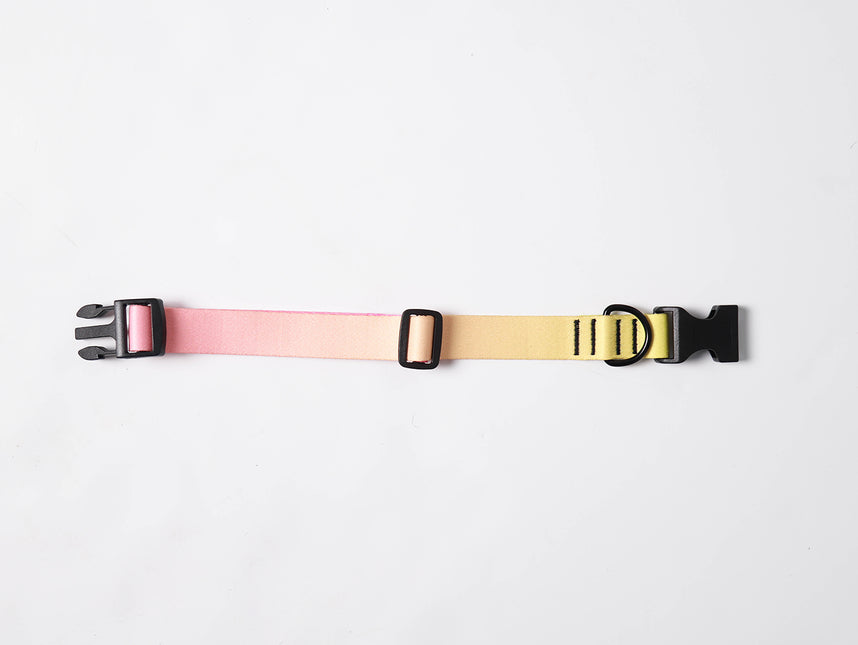 Pink Lemonade Collar