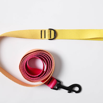 Pink Lemonade Leash