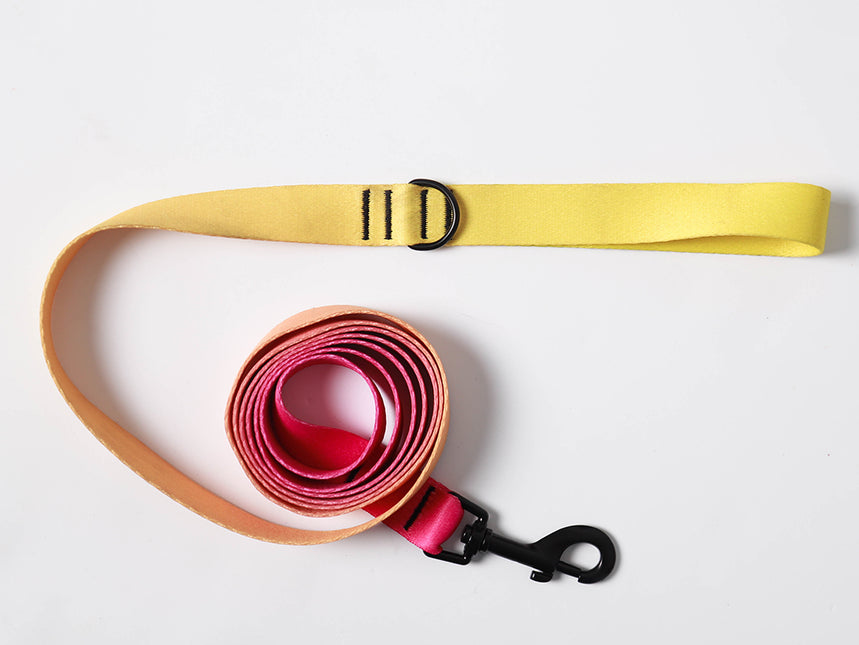 Pink Lemonade Leash