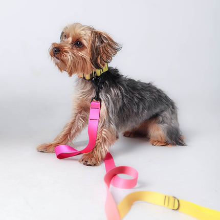 Pink Lemonade Leash