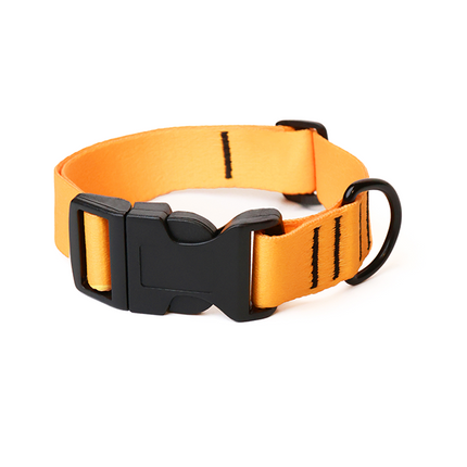 Tangerine Blaze Collar