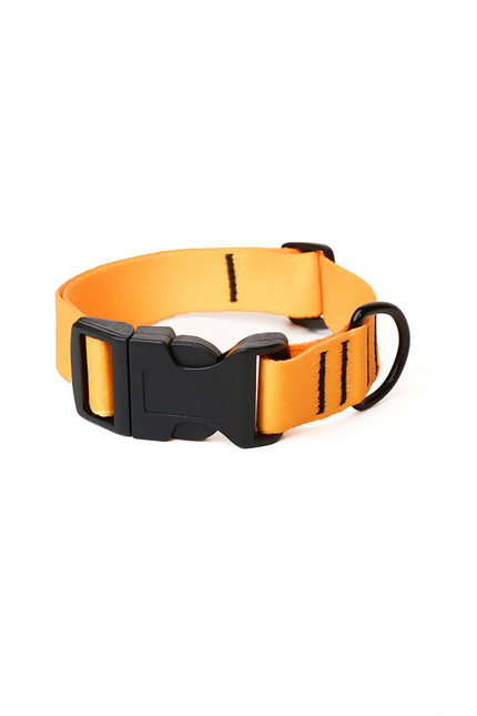 Tangerine Blaze Collar