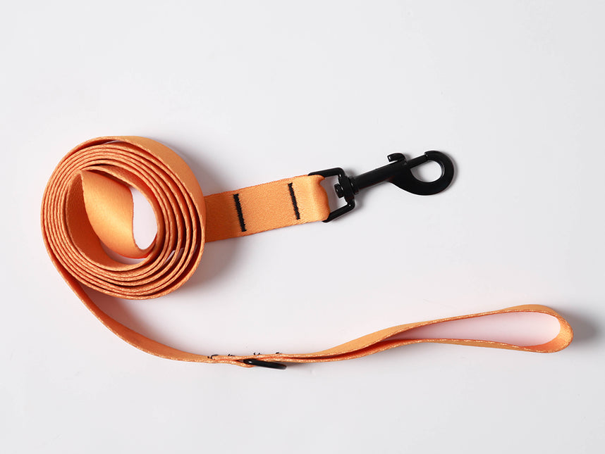 Tangerine Blaze Leash