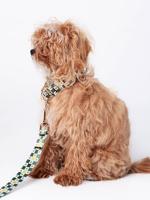 Classic Gold Checker Leash