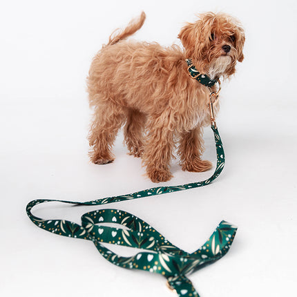 Emerald Night Leash