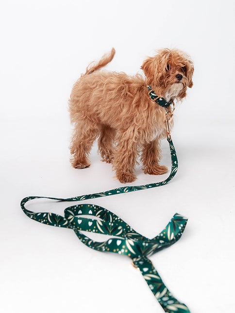 Emerald Night Leash