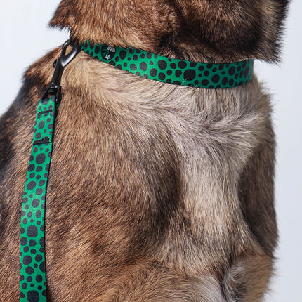 Classic Clover Green Leash