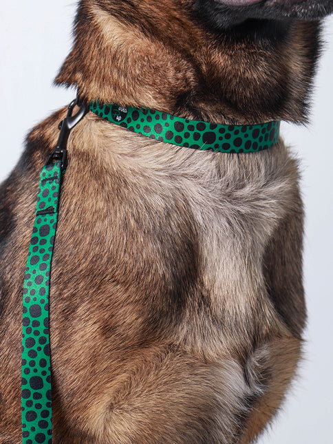 Classic Clover Green Leash