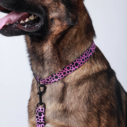 Classic Flamingo Pink Collar