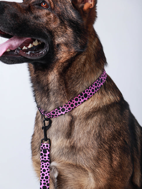 Classic Flamingo Pink Collar