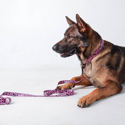 Classic Flamingo Pink Leash