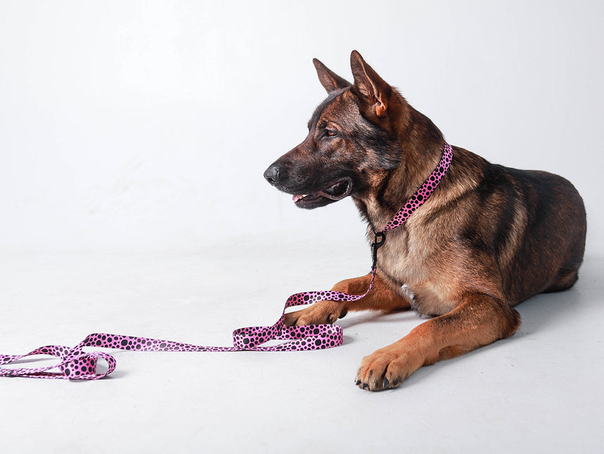 Classic Flamingo Pink Leash