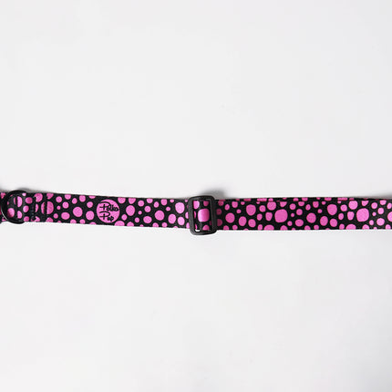 Midnight Flamingo Pink Collar