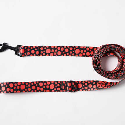 Midnight Orange Glow Leash