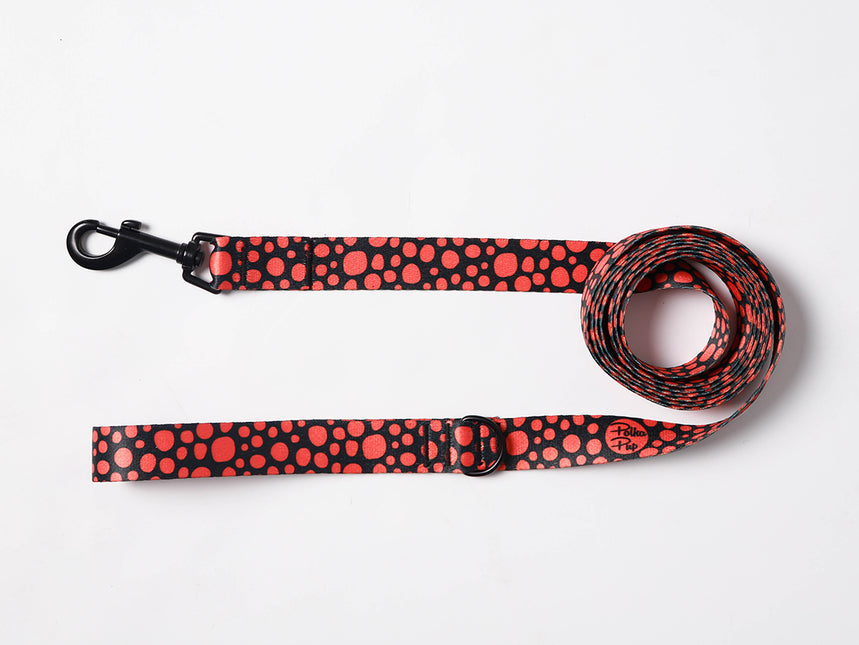 Midnight Orange Glow Leash