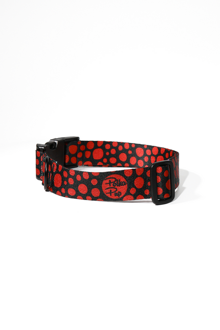 Midnight Red Hot Collar